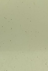 Transparent Glass, Brown Series, code 22-15