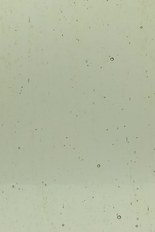 Transparent Glass, Brown Series, code 22J-10