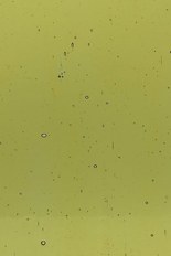 Transparent Glass, Brown Series, code 22J-15