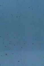 Transparent Glass, Gray Series, code 81-2475