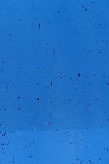 Transparent Glass, Blue Series, code 41-130