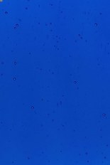 Transparent Glass, Blue Series, code 41-180