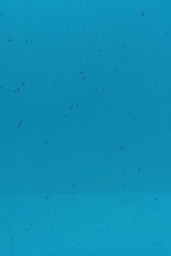 Transparent Glass, Blue Series, code 42-21