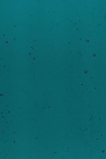Transparent Glass, Green Series, code 35-3010M7