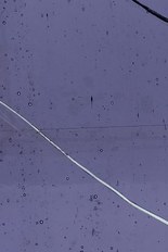 Transparent Glass, Purple Series, code 94-1960