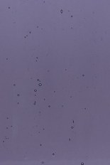 Transparent Glass, Purple Series, code 94-2245