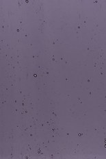 Transparent Glass, Purple Series, code 94-2536