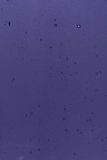 Transparent Glass, Purple Series, code 94-2568