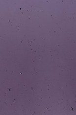 Transparent Glass, Purple Series, code 95-3504