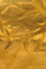 Transparent Textured Glass, Brown Series, code 21-120／R8