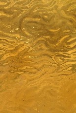 Transparent Textured Glass, Brown Series, code 21-120／SW