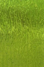 Transparent Textured Glass, Green Series, code 31-1802／NG
