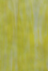 Opalescent Glass, Yellow Series, code A067-49／T