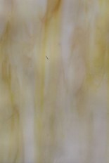 Opalescent Glass, Yellow Series, code W26-78／T