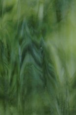 Opalescent Glass, Gray Series, code A38-42