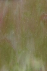 Opalescent Glass, Gold Powder Series, code W0345-94