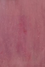 Opalescent Glass, Gold Powder Series, code W05-55B