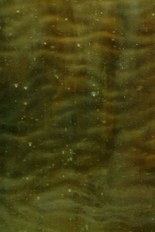Stipple Glass, Gray Series, code 028-24SP／R23,028-24SP／SW