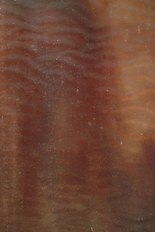 Stipple Glass, Orange Series, code 6D7-46SP／R23