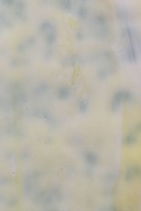 Mottled Glass, Yellow Series, code M026-88