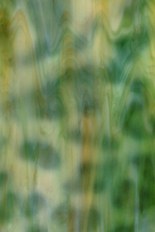 Mottled Glass, Yellow Series, code M36-47