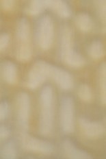 Textured Glass, Brown Series, code B2-16／F