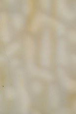 Textured Glass, Brown Series, code B2-17／F