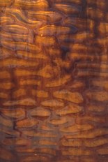 Textured Glass, Brown Series, code C22-04／R4