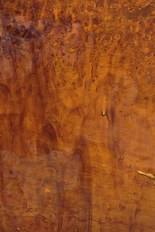 Textured Glass, Brown Series, code C22-05A／NG