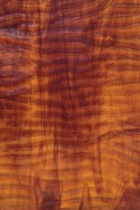 Textured Glass, Brown Series, code C29-00／R