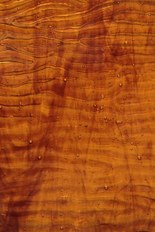 Textured Glass, Brown Series, code C29-01／R