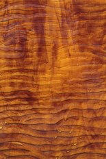 Textured Glass, Brown Series, code C29-03／R