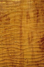 Textured Glass, Brown Series, code C29-03／TR