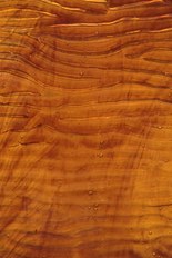 Textured Glass, Brown Series, code C29-04／R