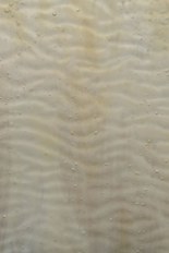 Textured Glass, Brown Series, code W02-13／R23