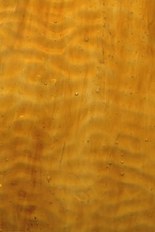 Textured Glass, Brown Series, code W02-30／R11