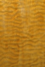 Textured Glass, Brown Series, code W02-31／R11