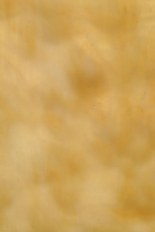 Textured Glass, Brown Series, code W2-24／TW