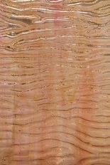 Textured Glass, Gold Powder Series, code 025-45／R