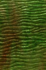 Textured Glass, Gold Powder Series, code 035-45／R