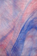 Textured Glass, Gold Powder Series, code W045-85／RX