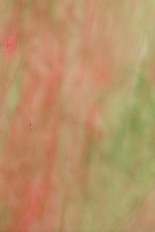 Textured Glass, Gold Powder Series, code W35-66／R12