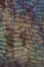 Textured Glass, Blue Series, code 0349-44／R4