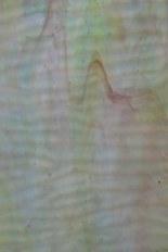 Textured Glass, Blue Series, code W0349-47／R