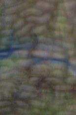 Textured Glass, Blue Series, code W0349-66／R4
