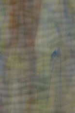 Textured Glass, Blue Series, code W349-68／R
