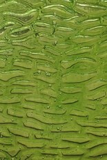 Textured Glass, Green Series, code 03-31／R4