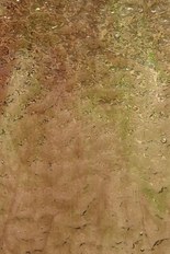 Textured Glass, Green Series, code 039-55／QW