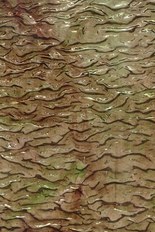 Textured Glass, Green Series, code 039-56／QWX
