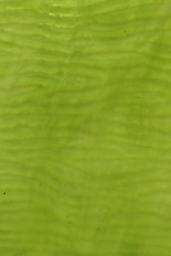 Textured Glass, Green Series, code A03-11／TR